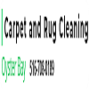 Rug Cleaning Oyster Bay